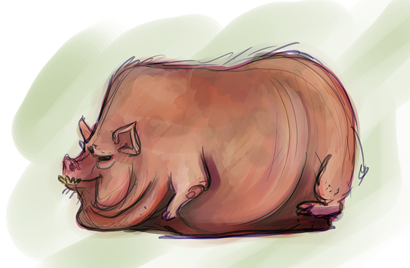 Shindol Pig